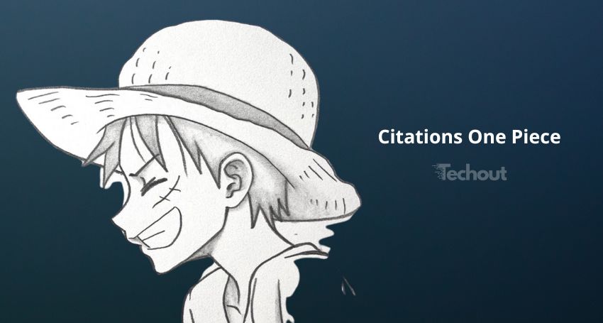 Citations One Piece