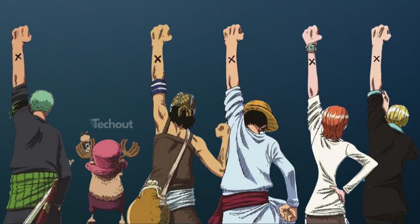 Nakama One piece Lyffy et léquipe du chapeau de paille