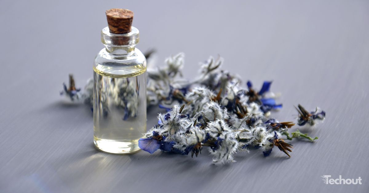 Pourquoi créer une parfumerie en ligne : opportunités et conseils